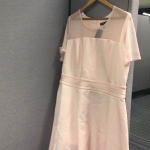 Pink Lane Bryant dress